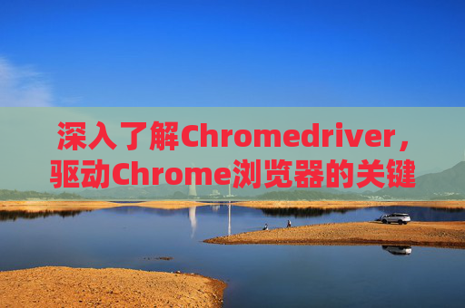 深入了解Chromedriver，驱动Chrome浏览器的关键工具